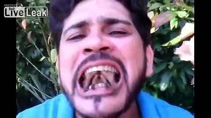 Man puts tarantula & snake in his mouth