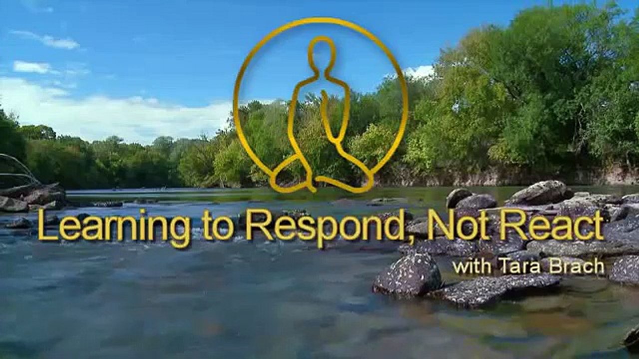 Learning to Respond, Not React - Tara Brach