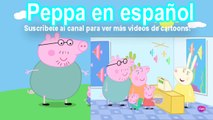 PEPPA PIG EN ESPAÑOL VIDEOS 3  PEPPA PIG CAPITULOS COMPLETOS HD