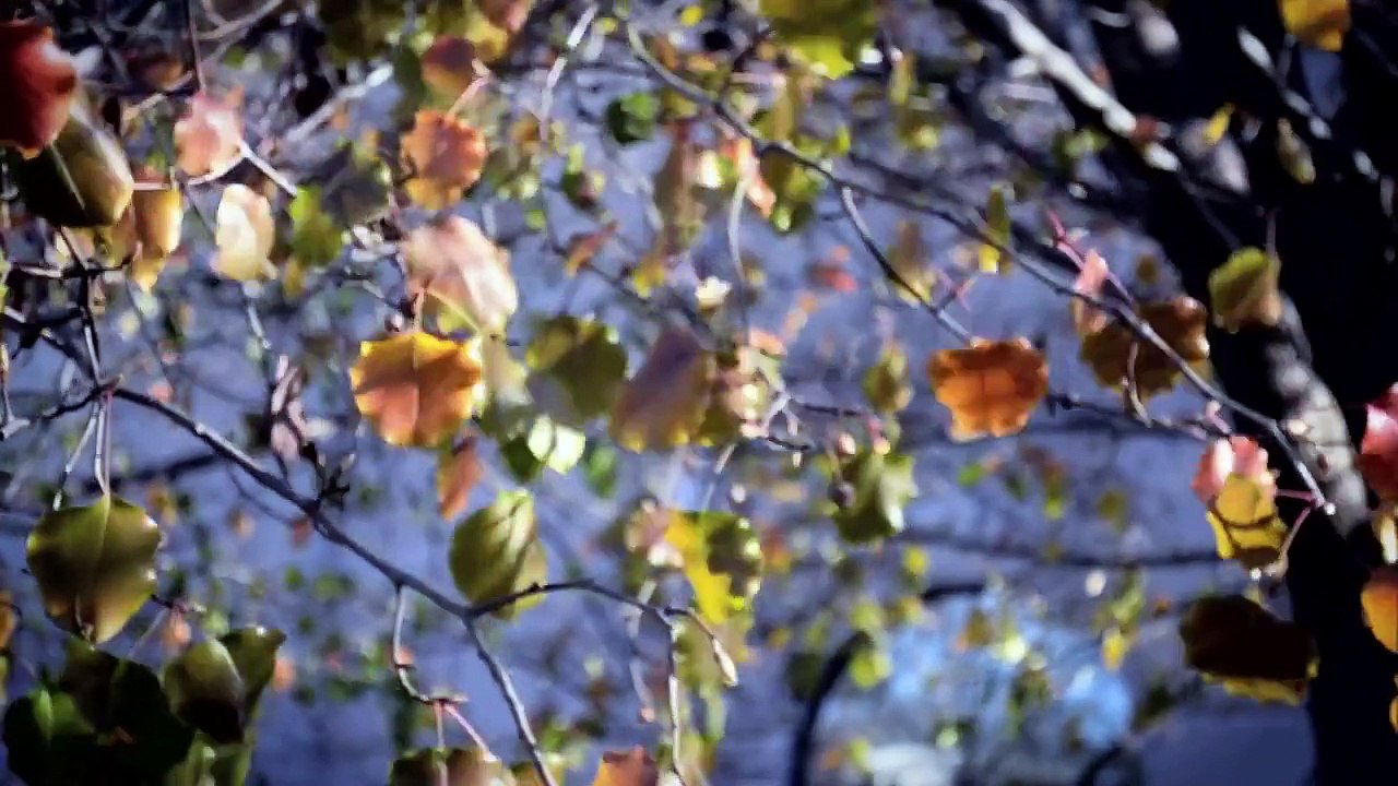 Nikon D3100 vs Canon Rebel T3i - DEATHMATCH - TheSnapChick