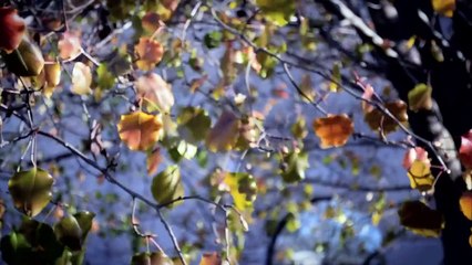 Nikon D3100 vs Canon Rebel T3i - DEATHMATCH - TheSnapChick