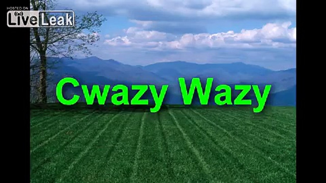 Cwazy Wazy