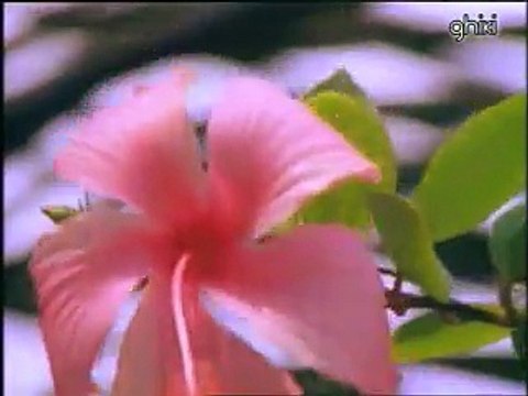 Jose Luis Perales - El amor (Karaoke)