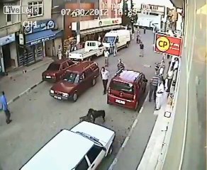 CCTV: Pitbull fights Rootweiler - Pitbull's owner stabs Rootweiler to death.