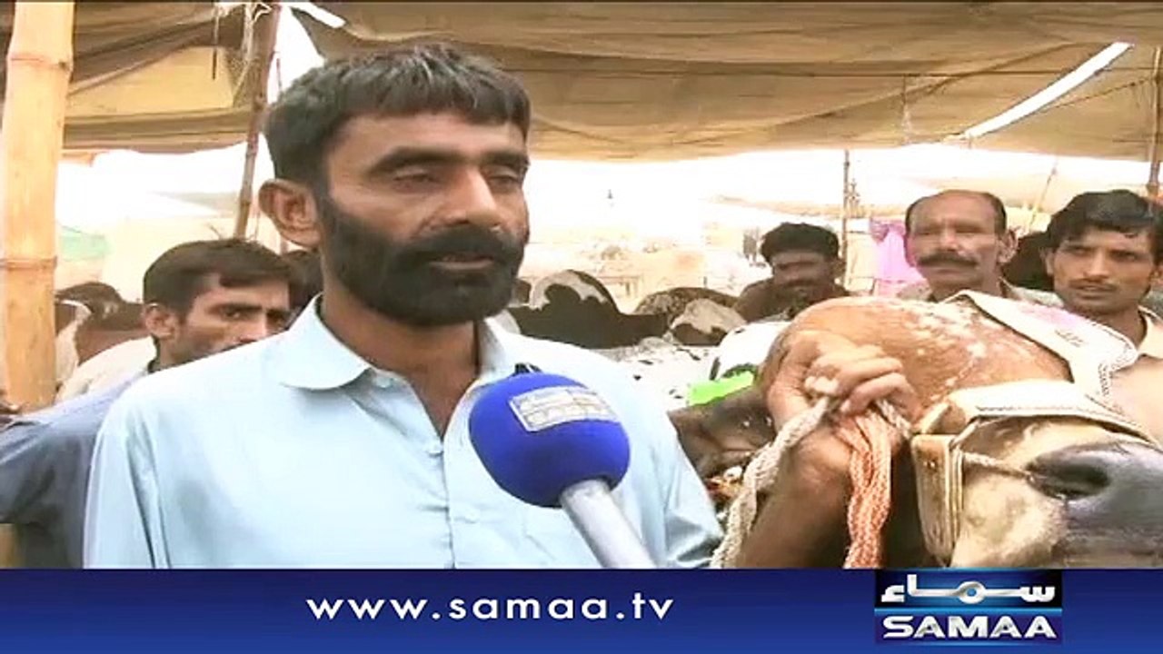 Insani Zaban Ko Ssamajh Ne Wali Bail Must Watch
