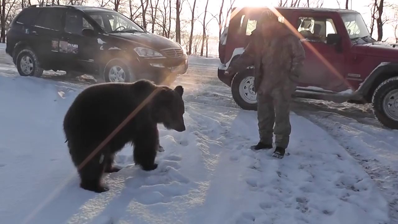 Медведь Яшка