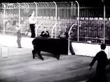 Ah, the Good 'Ol Days, Rampaging Bulls & Matadors - B&W Footage