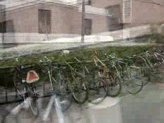 Harvard University Overview 🎓