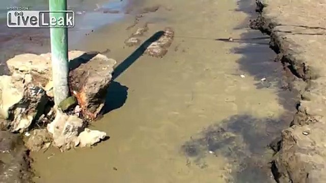 Alan Watts - Having Fun