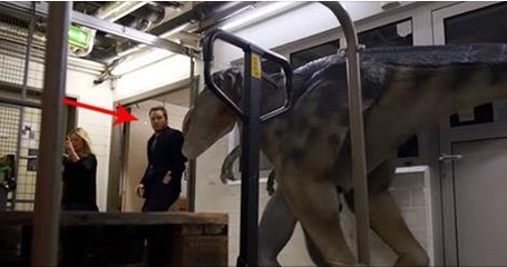 This Prank Is VERY Real But Jurassic Park May Not Be Real