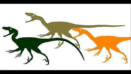 Parasaurolophus vs Velociraptor s