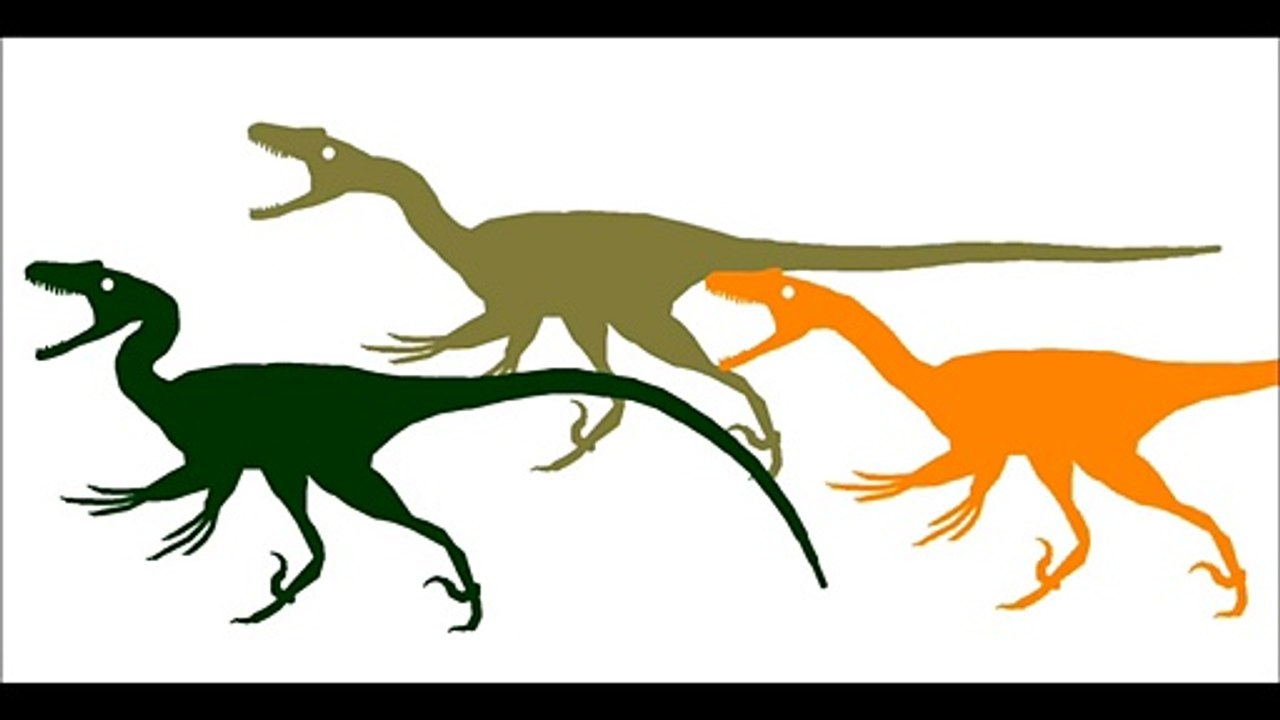 Parasaurolophus vs Velociraptor s