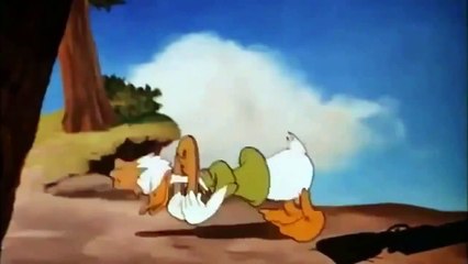 Donald Duck & Chip an` Dale Old Sequoia Video 31