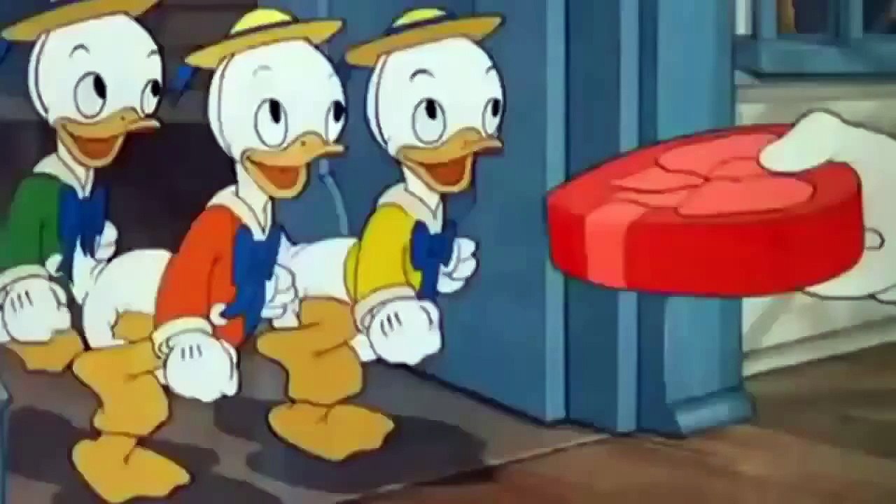 Donald Duck & Chip an` Dale Mr Duck steps out Video 29