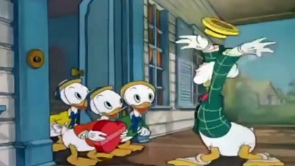 Donald Duck Mr Duck Steps Out