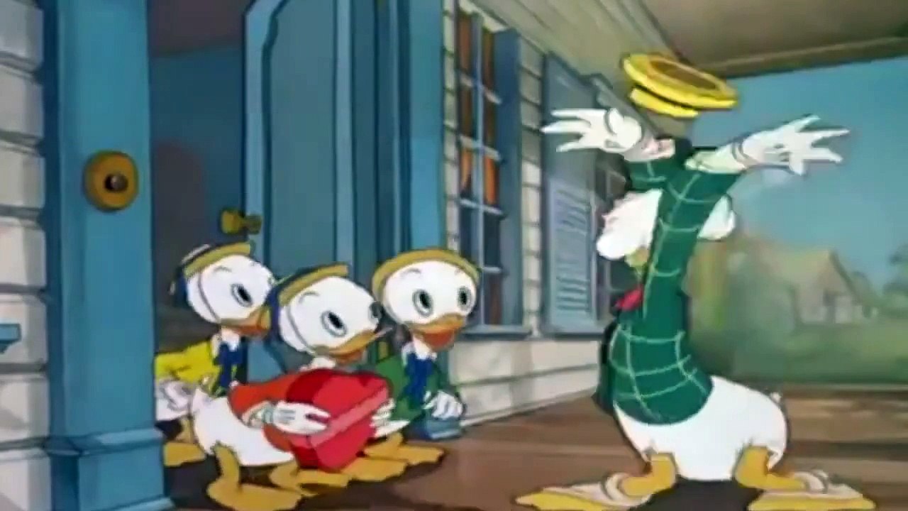 Donald Duck Mr Duck Steps Out