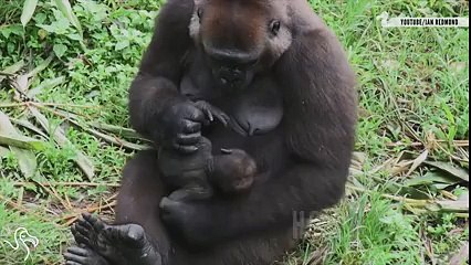 This One Goes Out To ALL The Moms Out There