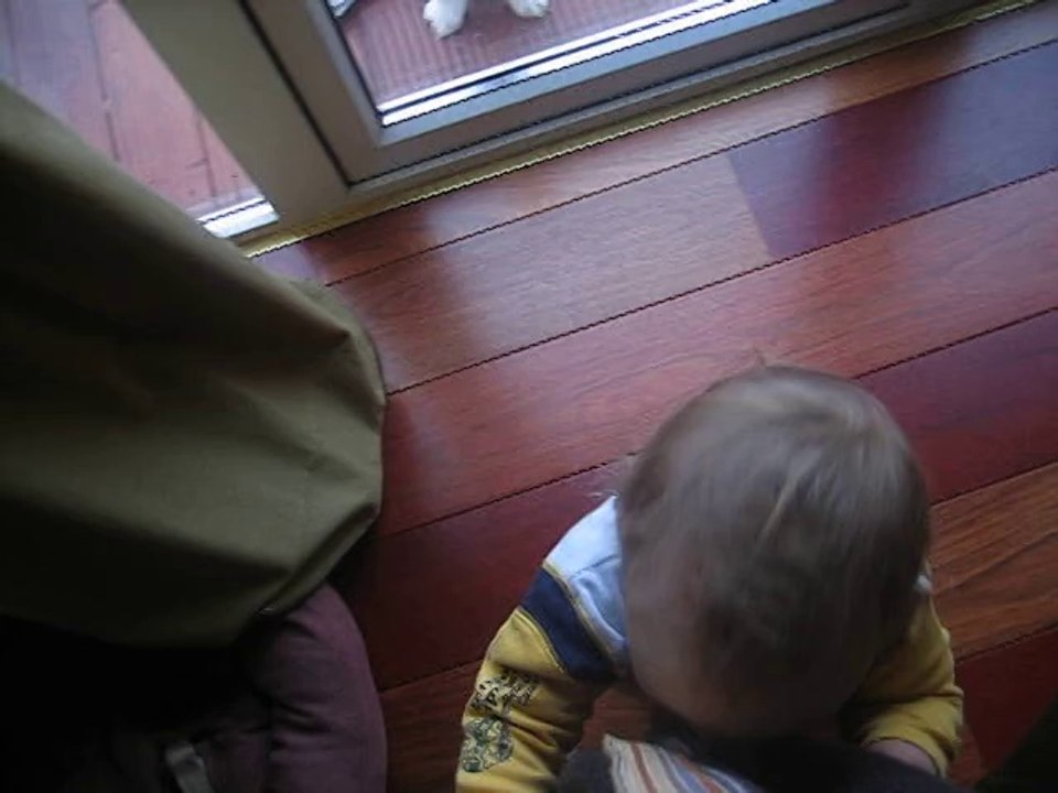 Dominic & Louis 2