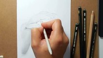 Graphite drawing of hands (Speed drawing)