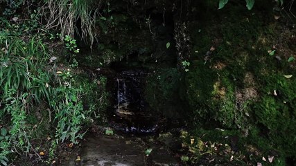 Source Font de Bleix (Martres de Veyre)