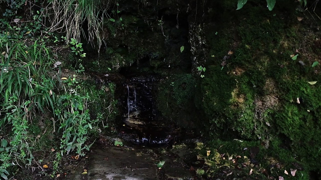 Source Font de Bleix (Martres de Veyre)
