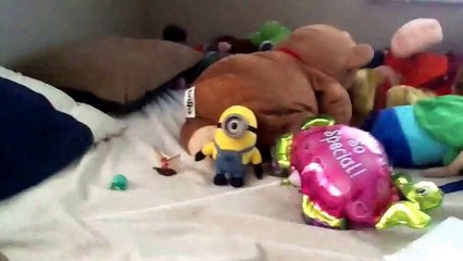 King pig gets grounded for Being late.g