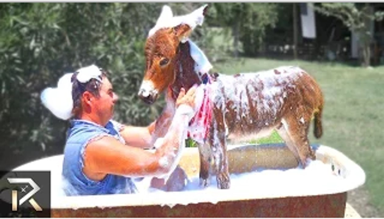 The Most Stupid Laws From Around The World