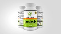 100% Pure Forskolin Extract, Weight Loss Supplement & Appetite Suppressant for Burning Fat