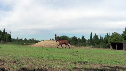 Challenge 2 - Elo et Romagne