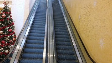 I'm-so-excited-reunion