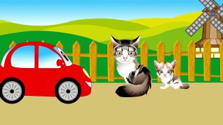Car for children. Cartoons for babies. What do the animals say? Animal sounds for kids.