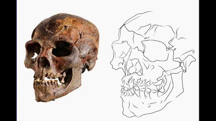 Contour Drawing  Kimon Nicolaides' The Natural Way to Draw - How to draw 60 degree angle with a rule