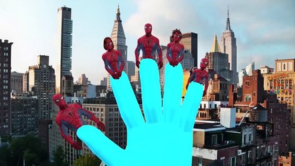 Finger Family Batman Vs Hulk Cartoons for Children | Batman Vs Spiderman Children Nursery Rhymes