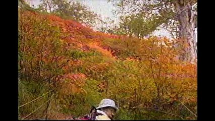 トムラウシ遭難事故