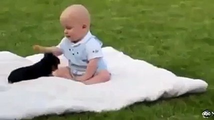 (1) Malik Tajamul Hayat Khans Videos (1)