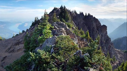 Augen auf (Sarah Connor) - Cover