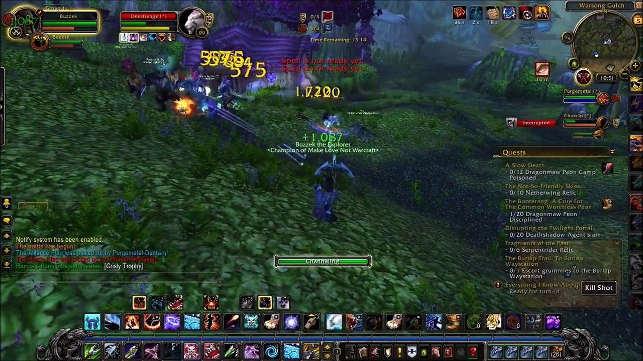 World of Warcraft - Warsong Gulch - Hunter PvP