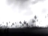 WW2: Capture of Tarawa from Japan (Nov. 1943) | 