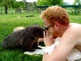 Funny Videos Chummy Wombat Loves Tummy Rubs New 2014
