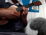 となりのトトロ/井上あずみ　ウクレレ弾き語りカバー My neighbor totoro ukulele