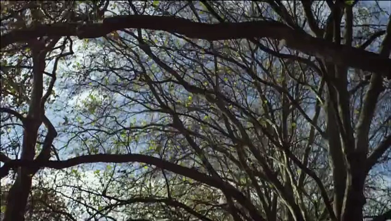 Love Tomorrow Trailer