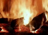 Fuoco di legna, il riscaldamento a legna - Alessandro Cecchi Paone