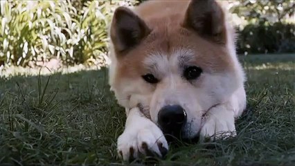 Хатико: Самый верный друг [Клип] / Hachiko: A Dog's Story