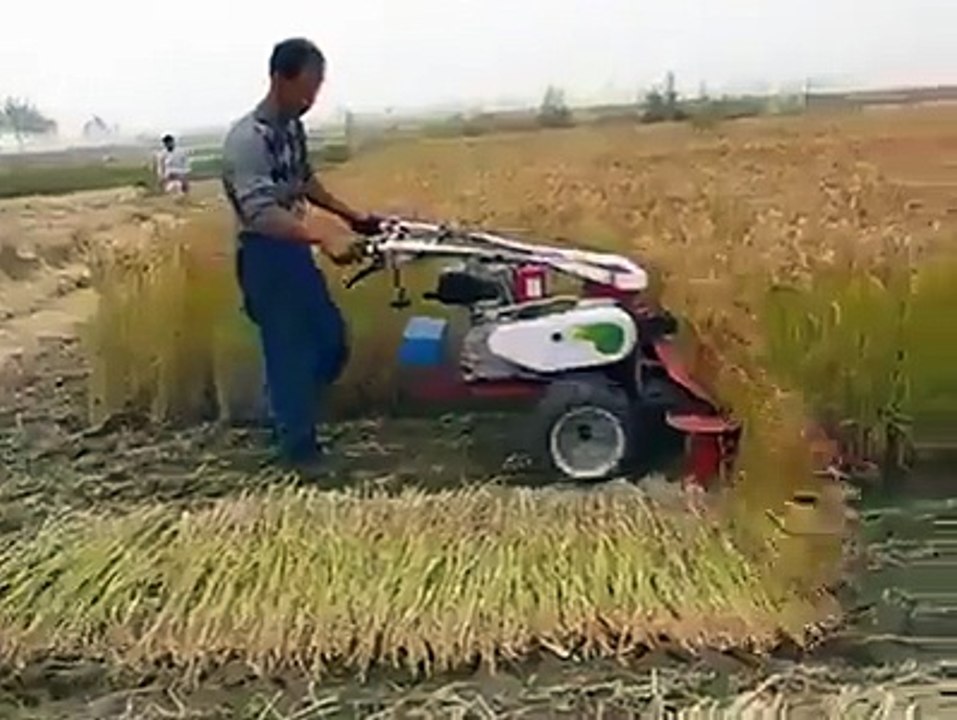 rice cutting machine must watch