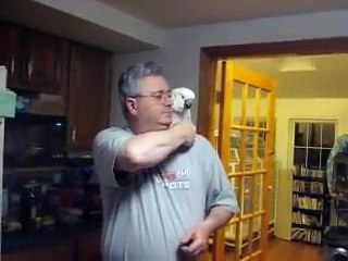 Baby the ultimate swearing Umbrella Cockatoo