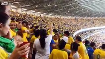 Brazilian Fans Fighting At The Stadium During The Semi Final