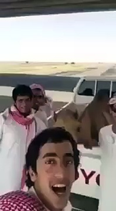 Selfie with a Camel