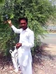 mobile & rupees growing on tree very funny must watch