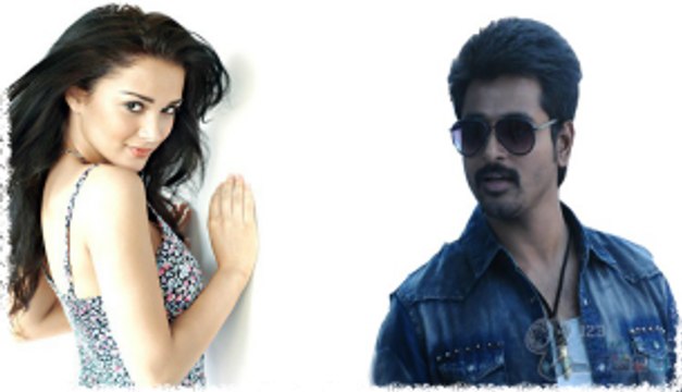 Sivakarthikeyan to romance Amy Jackson for his next film? | 123 Cine news | Tamil Cinema
