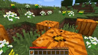 MINECRAFT #1 SERIE N.2